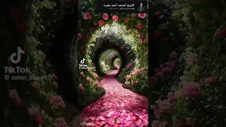  اليوم نختم على أفواههم  تلاوة خاشعة للشيخ محمداحمدبخيت  قرآن كريم راحة نفسية  لايك اشتراك  القرآن   دندنها