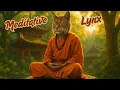 Download Lagu Relaxing Shaolin Temple Music for Inner Peace \u0026 Presence