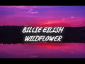Billie Eilish - WILDFLOWER (Lyrics)