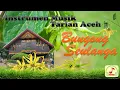 Download Lagu BUNGONG SEULANGA - INSTRUMEN MUSIK TARIAN ACEH