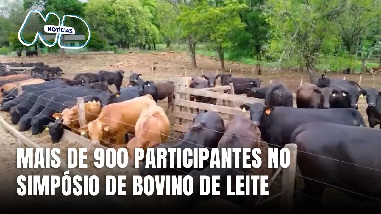 Simpósio Brasil Sul de Bovino de Leite reúne 900 profissionais em Chapecó