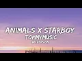 Download Lagu TOMMY MUZZIC - Animals X Starboy (8D AUDIO)