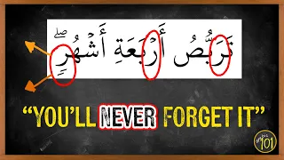                                   ر                                             دندنها