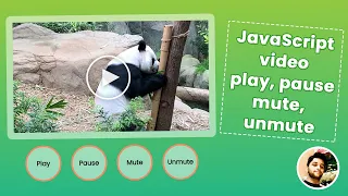 HTML Play Pause Mute Unmute using JavaScript Play using JavaScript