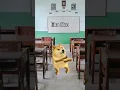 Download Lagu meme sekolah viral Lika liku kesusahan Di sekolah Slander meme lucu kucing doge...