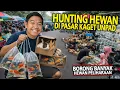 Lagu HUNTING HEWAN DI PASAR KAGET UNPAD! BORONG BANYAK HEWAN PELIHARAAN!