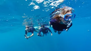 An Immersive Journey to Tetiaroa with Android XR & Google - Experience The Brando in 180°