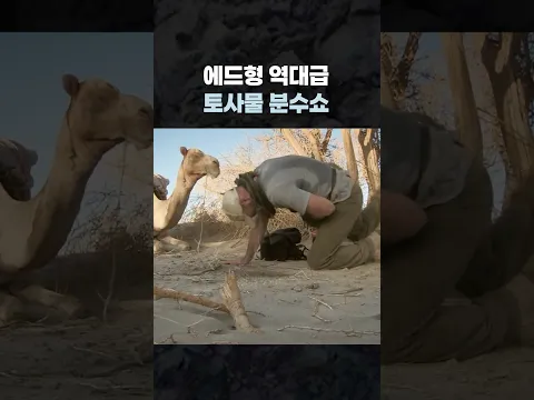에드형 역대급 토사물 분수쇼