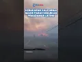 Download Lagu Kebakaran di California Selatan Semakin Parah hingga Beberapa Wilayah Mengalami Pemadaman Listrik