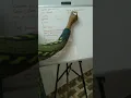 Special Number Program using Recursion