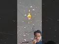 Download Lagu mancing ikan gabus pakai jangkrik apakah dapat?
