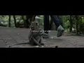 SL - Summertime Santa  (Official Music Video)