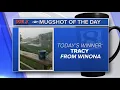 Mug shot of the day - Tracy from Winona