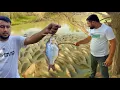 Download Lagu Machli Ka Shakar 🐠 Kitni Fish Pakri ? Fish hunting 🎣