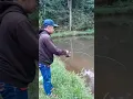 Download Lagu Umpan lumut memang joss buat di danau #mancing #fishing #shorts #fyp