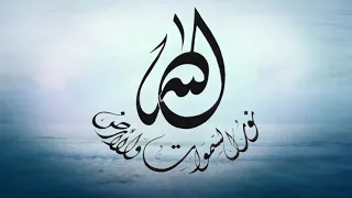 آنست النور  من أجمل ما سمعت للمنشد عمار صرصر دندنها