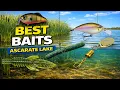 Top Tips for Catching Bass at Ascarate Lake - A Complete Guide