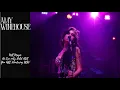 Lagu Amy Winehouse Greatest Hits Playlist | MR Magic | He Can only Hold HER | You ARE Wondering NOW