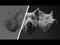 Rendering for beginners A simple studio lighting setup using Redshift and Maya