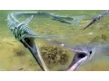 Download Lagu This is magic!  Follow subsea. the Baltic sea. Fishing Fish