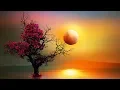 Download Lagu 852Hz ✧ Düdük Meditation ✧ Awakening Intuition ✧ Let Go of Overthinking
