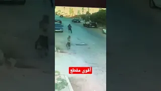 أقوى مقطع كلاب ضالة تهاجم شابا في الشارع العام بمدينة اربد 