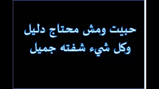 وائل جسار   في خطوتك سكتي                                      دندنها
