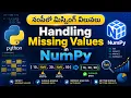Handling Missing Values in NumPy NumPy Tutorial in Telugu Python for Data Analysis