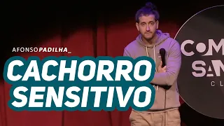 AFONSO PADILHA - E SE O SEU PET FALASSE?