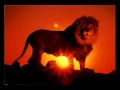 Rebelution - Heart like a lion (HQ and lyrics)