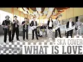 Download Lagu skameleon - What is love (Haddaway SKA-Cover)