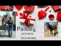 New beginnings 2018 Stroud Oklahoma Kill Pen Horses