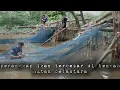 Download Lagu Perangkap ikan Selesai total ternyata di luar dugaan kami jadinya sebesar ini hidup di hutan