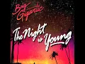 Big Gigantic - The Night Is Young (ft. Cherub)