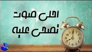نغمة منبه نغمات منبه للاستيقاظ نغمة منبه عالية طيور عرب Arab 