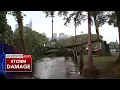 Severe storms bring down trees throughout Delaware Valley region