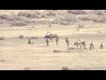 New Mexico GMU Unit 15 Hunting Information