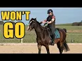 STOP Wasting Time The SECRET to Getting Your Horse to Move Forward