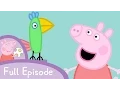Peppa Pig - Polly Parrot (full episode)