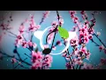 Kasbo - Over You (feat. Frida Sundemo)