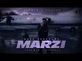 Guru Randhawa - Marzi (Slowed + Reverb) | Official Audio