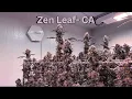 Zen Leaf - CA