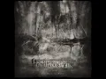 Helrunar - Nebelspinne