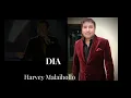 Lagu Dia | Harvey Malaihollo | Konsert DiRaja Perlis
