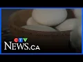 Sask funeral home offers unique cremation option