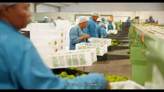 Financing Growth: How Afreximbank is Supporting SMEs Across Southern Africa