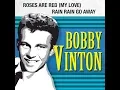 Lagu Bobby Vinton - Rain, Rain Go Away (1962) Lyrics
