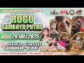 Download Lagu Live Jaranan ROGO SAMBOYO PUTRO SHF AUDIO Sarirejo klampisan kandangan kediri