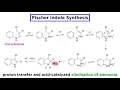 Fischer Indole Synthesis