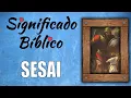 Sesai Significado Bíblico | ¿Qué Significa Sesai en la Biblia? 🙏